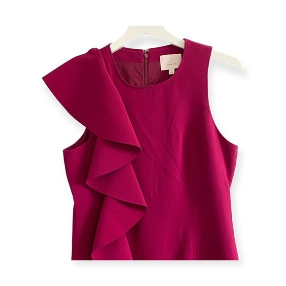 NWT Cinq A Sept Kimberlin Sleeveless Crepe Ruffle Mini Dress, size 10 - Picture 5 of 14